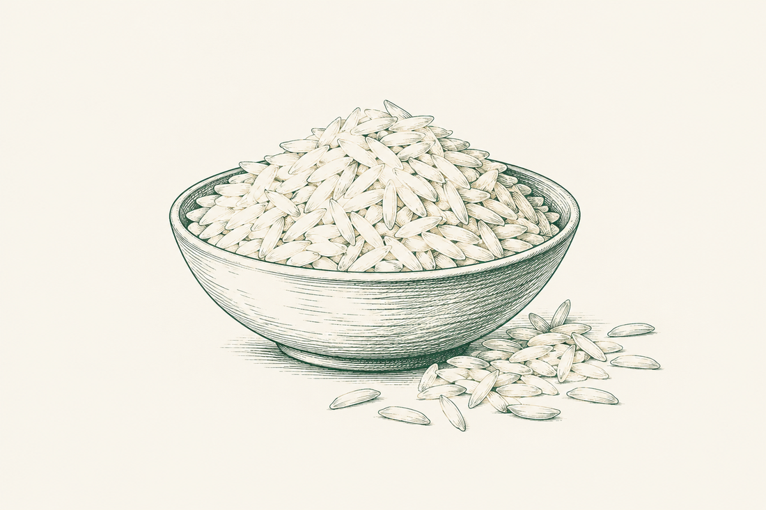 Line illustration of rice grains
