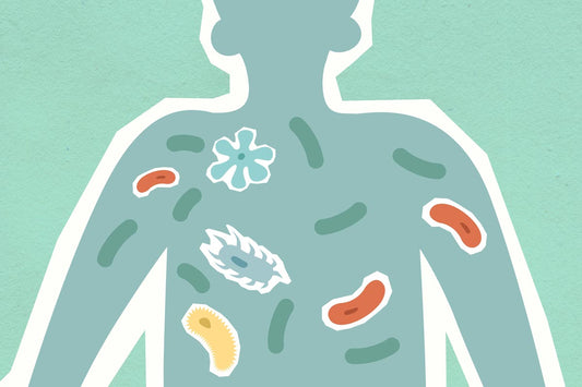 Importance of Gut Health Explained