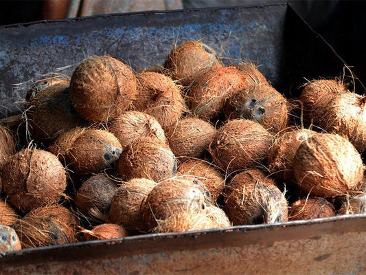 How Coconut Oil is Made