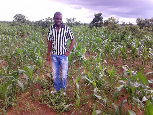 Crop Growing Success in Malawi