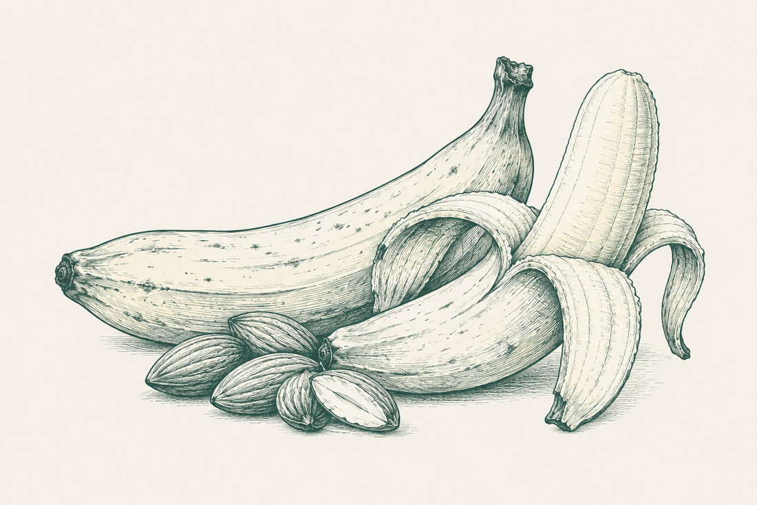 Line illustration of banana almond