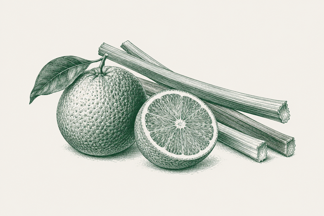 Oranges and rhubarb – green ingredient engraving for Steamed orange puddings with poached rhubarb