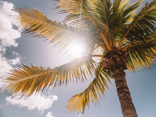 SPF