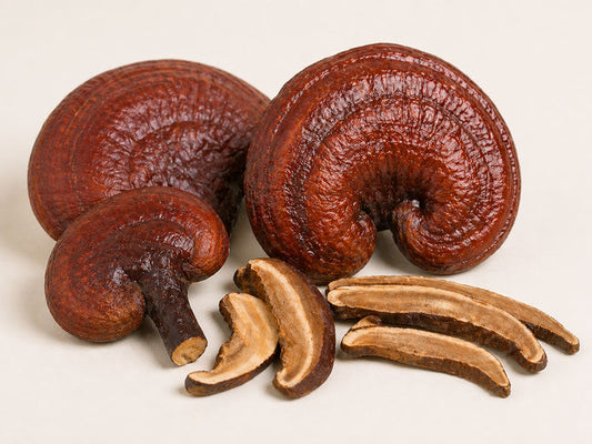 reishi mushrooms are adaptogens link to calm